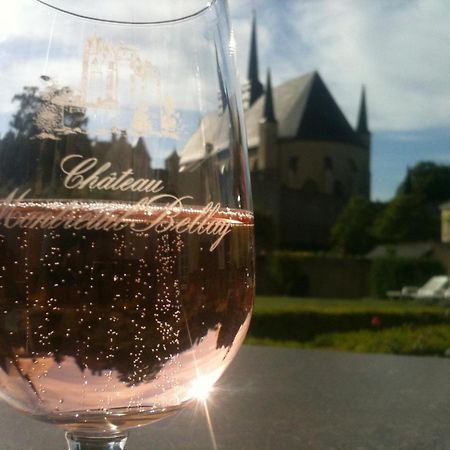Hotel Spa Le Relais Du Bellay モントルイユ・ベレ エクステリア 写真